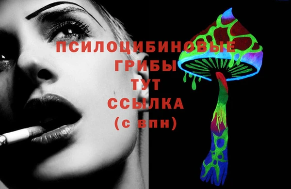стаф Дмитриев