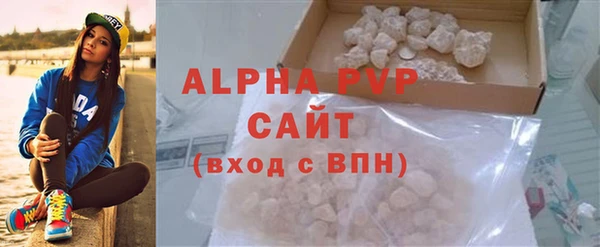 стаф Дмитриев