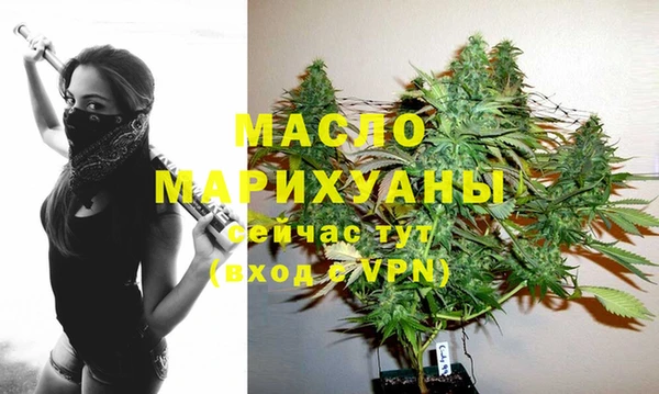 стаф Дмитриев