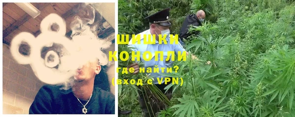 стаф Дмитриев