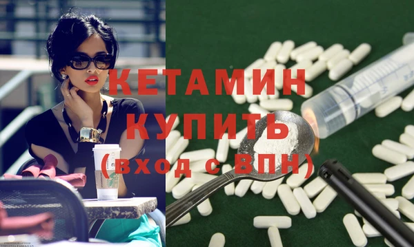стаф Дмитриев