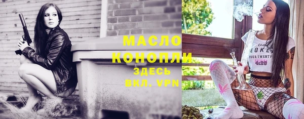 стаф Дмитриев