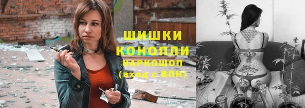 стаф Дмитриев