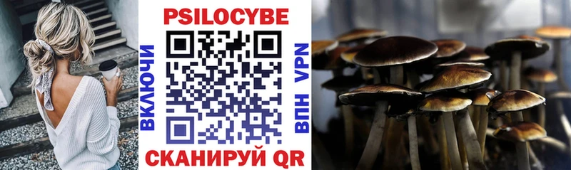 продажа наркотиков  Хабаровск  Псилоцибиновые грибы прущие грибы 