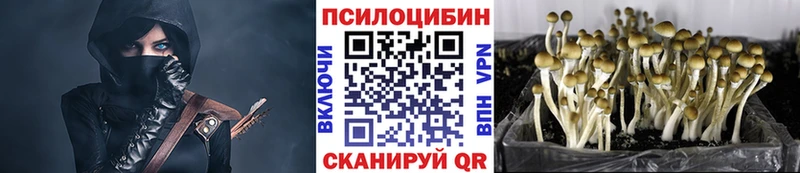 Псилоцибиновые грибы ЛСД Хабаровск